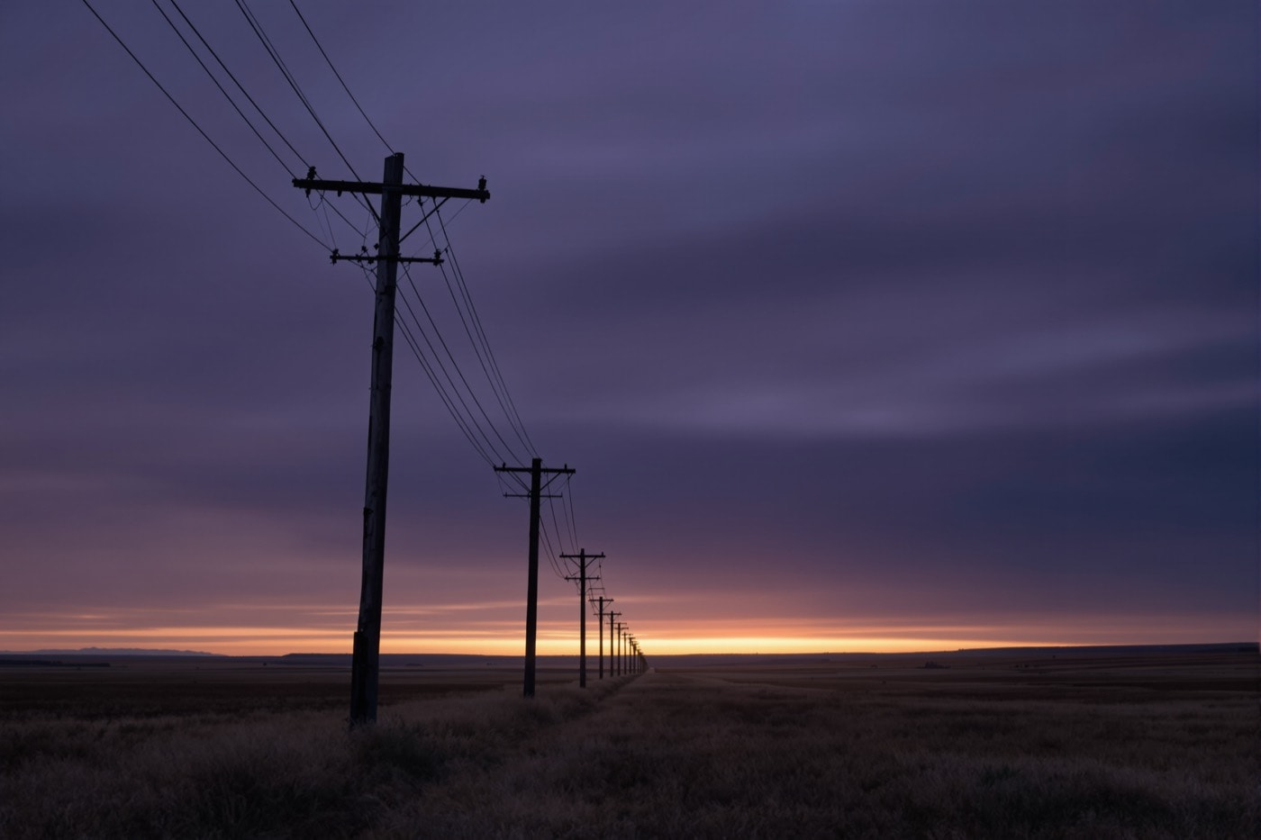 A receding line of wooden telephone poles crossing open prairie toward a dawn horizon